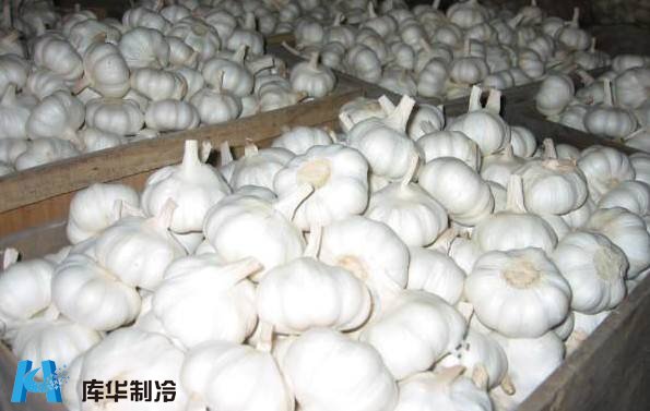 影響冷庫造價(jià)的因素有哪些?